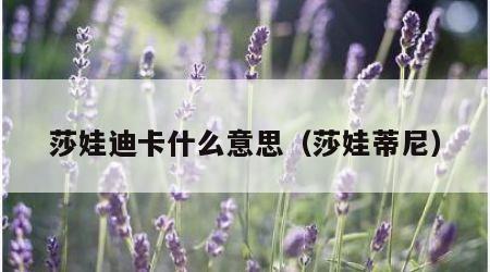 莎娃迪卡什么意思（莎娃蒂尼）