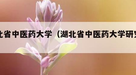 湖北省中医药大学（湖北省中医药大学研究生）