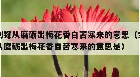 宝剑锋从磨砺出梅花香自苦寒来的意思（宝剑锋从磨砺出梅花香自苦寒来的意思是）