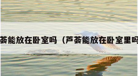 芦荟能放在卧室吗（芦荟能放在卧室里吗?）