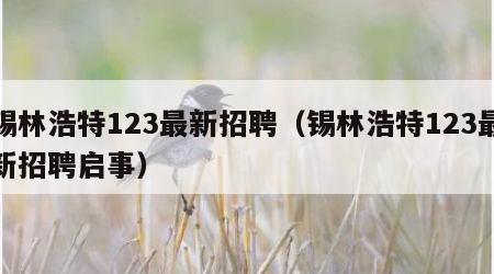 锡林浩特123最新招聘（锡林浩特123最新招聘启事）