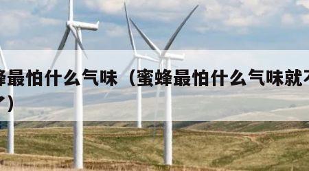蜜蜂最怕什么气味（蜜蜂最怕什么气味就不会来了）