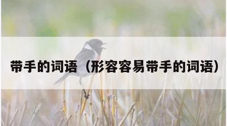 带手的词语（形容容易带手的词语）