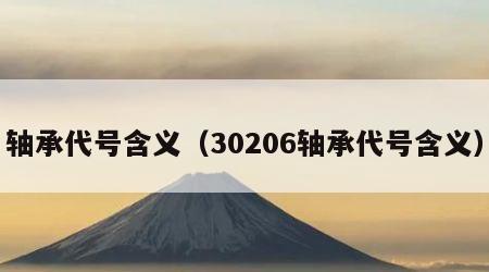 轴承代号含义（30206轴承代号含义）