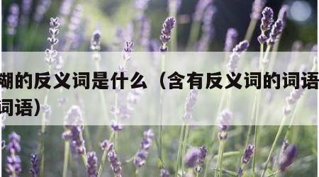 含糊的反义词是什么（含有反义词的词语 四字词语）
