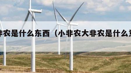 小非农是什么东西（小非农大非农是什么意思?）