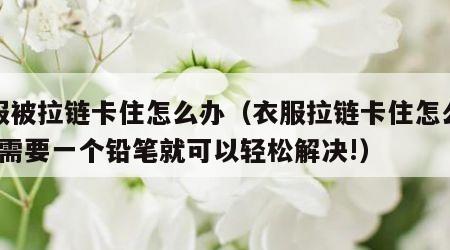 衣服被拉链卡住怎么办（衣服拉链卡住怎么办?只需要一个铅笔就可以轻松解决!）