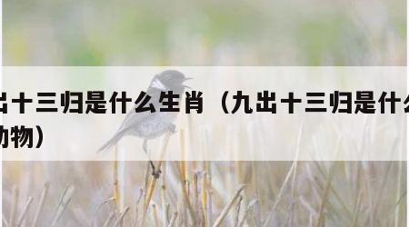 九出十三归是什么生肖（九出十三归是什么生肖动物）