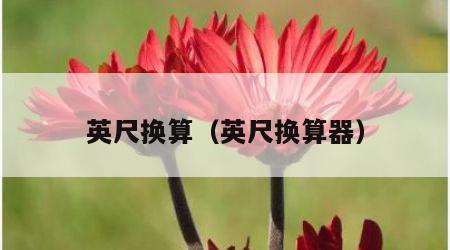 英尺换算（英尺换算器）