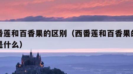 西番莲和百香果的区别（西番莲和百香果的区别是什么）
