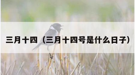 三月十四（三月十四号是什么日子）