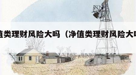 净值类理财风险大吗（净值类理财风险大吗知乎）