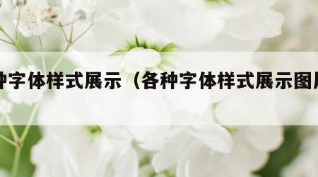 各种字体样式展示（各种字体样式展示图片手写）