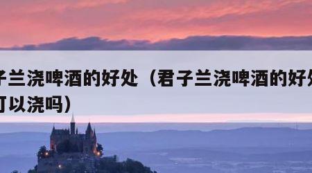 君子兰浇啤酒的好处（君子兰浇啤酒的好处夏天可以浇吗）