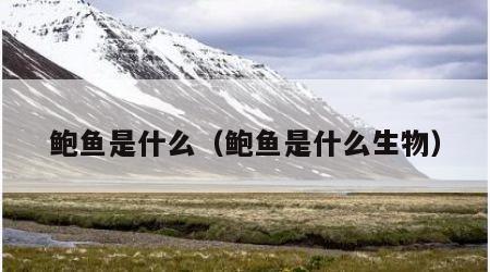 鲍鱼是什么（鲍鱼是什么生物）