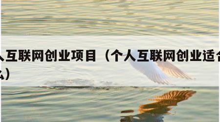 个人互联网创业项目（个人互联网创业适合做什么）