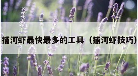 捕河虾最快最多的工具（捕河虾技巧）