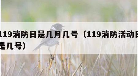 119消防日是几月几号（119消防活动日是几号）