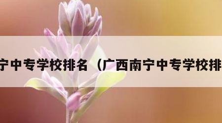 南宁中专学校排名（广西南宁中专学校排名）