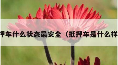 抵押车什么状态最安全（抵押车是什么样的）
