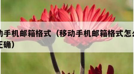 移动手机邮箱格式（移动手机邮箱格式怎么写才正确）