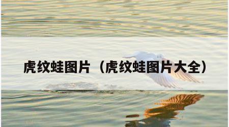 虎纹蛙图片（虎纹蛙图片大全）