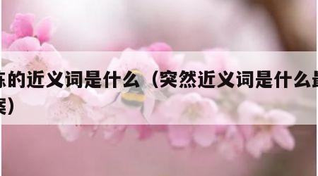 熟练的近义词是什么（突然近义词是什么最佳答案）