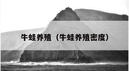 牛蛙养殖（牛蛙养殖密度）