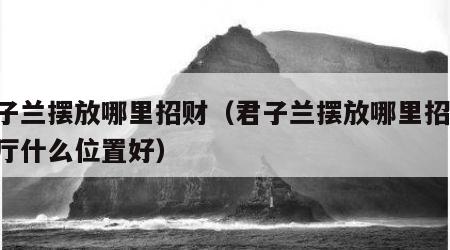 君子兰摆放哪里招财（君子兰摆放哪里招财,客厅什么位置好）