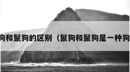 鬓狗和鬣狗的区别（鬣狗和鬣狗是一种狗么）