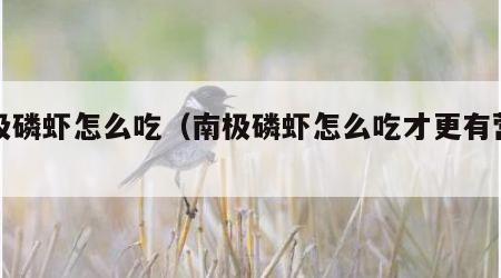 南极磷虾怎么吃（南极磷虾怎么吃才更有营养）