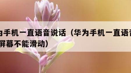 华为手机一直语音说话（华为手机一直语音说话,屏幕不能滑动）