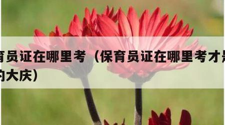 保育员证在哪里考（保育员证在哪里考才是正规的大庆）
