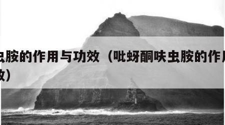 呋虫胺的作用与功效（吡蚜酮呋虫胺的作用与功效）