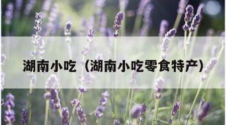 湖南小吃（湖南小吃零食特产）