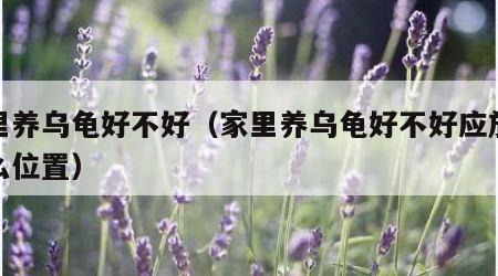 家里养乌龟好不好（家里养乌龟好不好应放在什么位置）