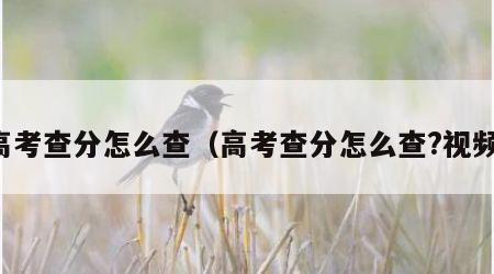 高考查分怎么查（高考查分怎么查?视频）