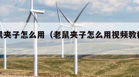 老鼠夹子怎么用（老鼠夹子怎么用视频教程图片）