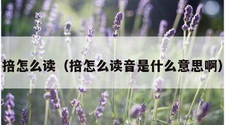 掊怎么读（掊怎么读音是什么意思啊）
