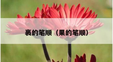 裹的笔顺（果的笔顺）