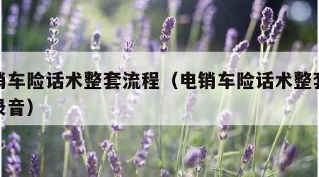 电销车险话术整套流程（电销车险话术整套流程录音）