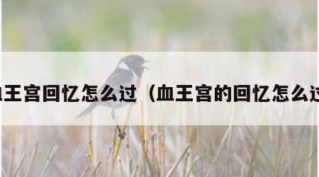 血王宫回忆怎么过（血王宫的回忆怎么过）