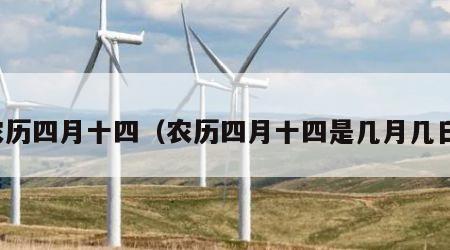 农历四月十四（农历四月十四是几月几日）