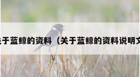 关于蓝鲸的资料（关于蓝鲸的资料说明文）