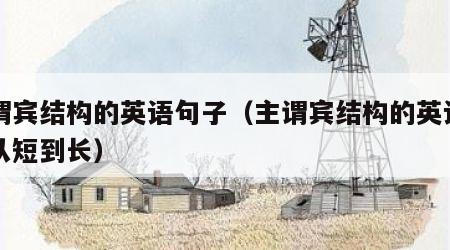 主谓宾结构的英语句子（主谓宾结构的英语句子从短到长）