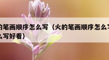 火的笔画顺序怎么写（火的笔画顺序怎么写的怎么写好看）