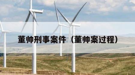 董帅刑事案件（董帅案过程）
