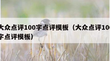 大众点评100字点评模板（大众点评100字点评模板）