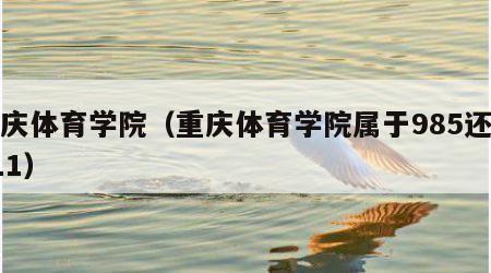 重庆体育学院（重庆体育学院属于985还是211）