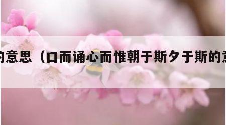 斯的意思（口而诵心而惟朝于斯夕于斯的意思）
